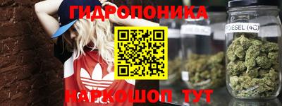 молекула духа Гай