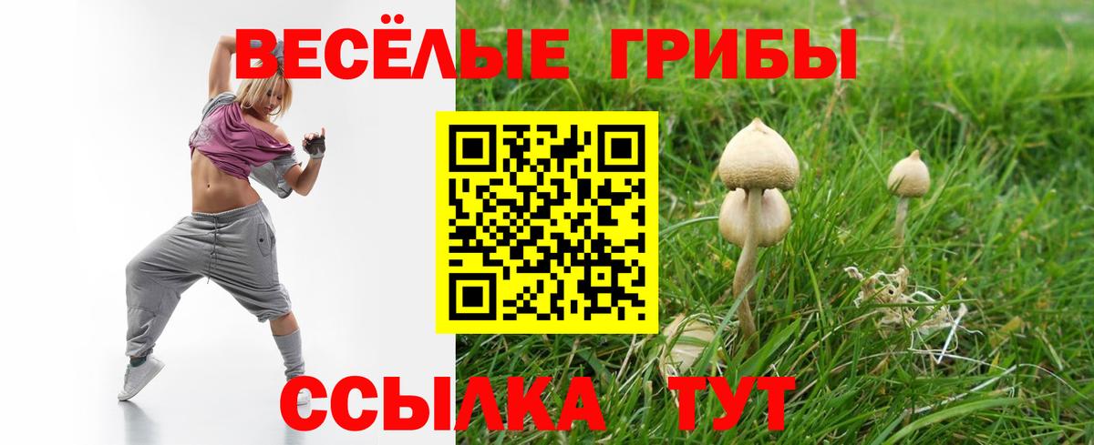 Донской  Псилоцибиновые грибы Cubensis  Вход с VPN  закладка  Псилоцибиновые грибы мицелий 